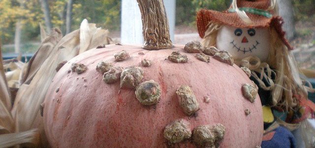 Hausmittel gegen Warzen – Natürlich entfernen