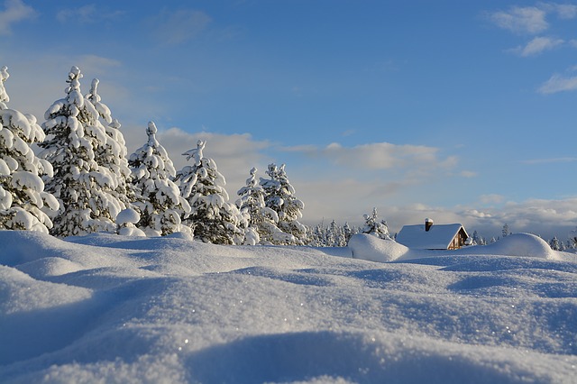 Erkältungen häufen sich im Winter